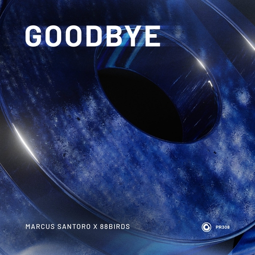 Marcus Santoro & 88Birds - Goodbye [PR308]